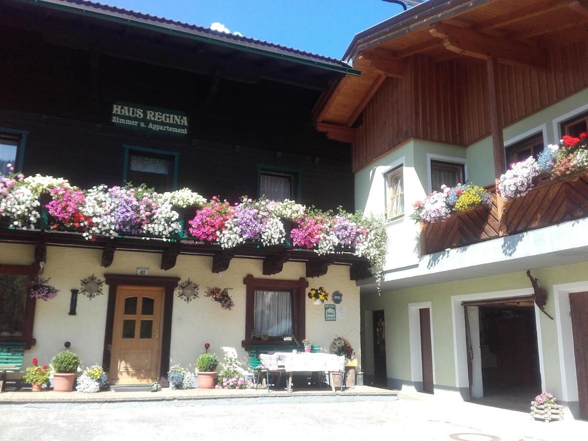 Ferienhaus Regina Werfenweng Esterno foto