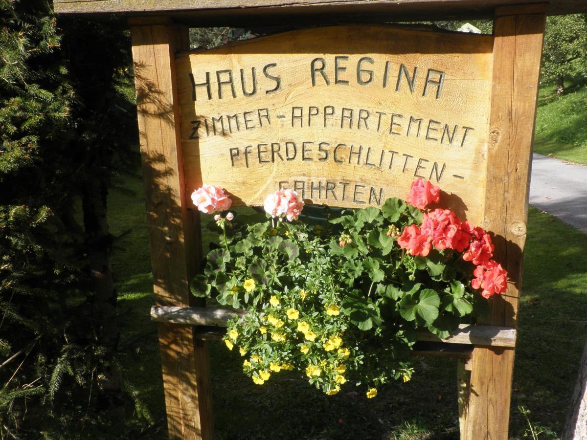 Ferienhaus Regina Werfenweng Esterno foto